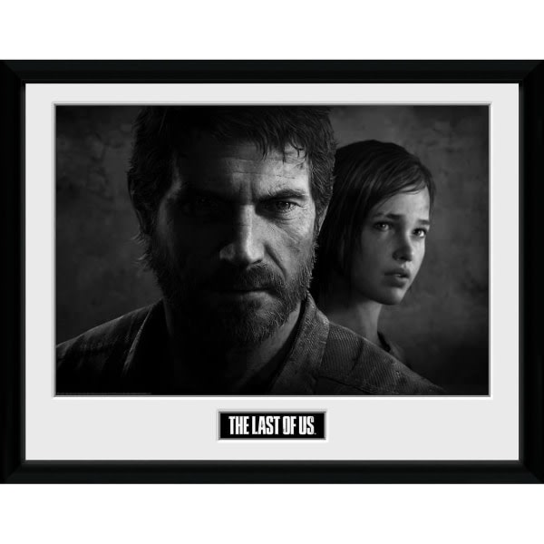 Last of Us Black and White Inramad Tavla 30*40cm Diamond painting