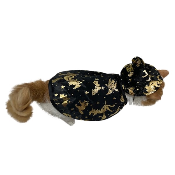 Galaxy Pet Halloween Kostumekappe, Pet Halloween Kappe Hat Kit, Halloween Hundekappe med Hexehat