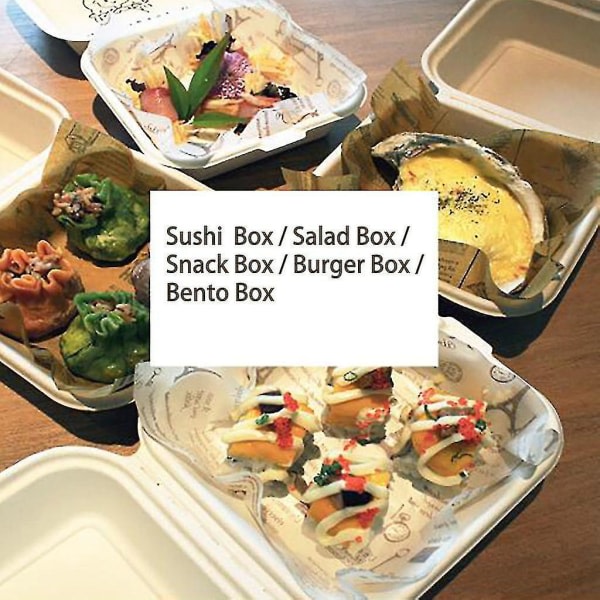 Engångs Bento Bakkaka Miljöskydd Snackboxar 10 stycken