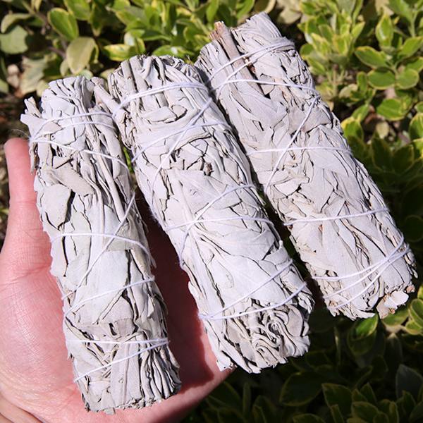 Aroma Blad Bunt Salvie Smudge Sticks Meditation Duft Smudging Ritualer Røg Værktøjer Hjem Rengøring Røgelse