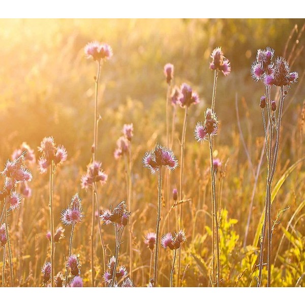 Gör-det-själv 5D diamantmålning Morgon vilda blommor Blomma Bokeh Bukett äng Rustik påsk Vuxen Chi