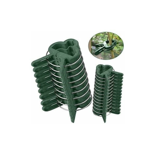Plant Stakes Plant Clips 60 ST Ekstra store Planteclips Stabil Clip for at sikre växter Understøtter plantning (30 Large + 30 Small)