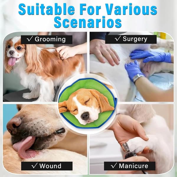 Blød genopretningskrave til hunde, åndbar mesh, justerbar E-krave til mellemstore og store hunde efter operation, sårheling, blå størrelse L