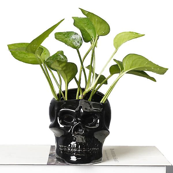 Keramisk Kruka Svartvit Personlighet Succulent Blomkruka Kreativ Vägghängande Blomma