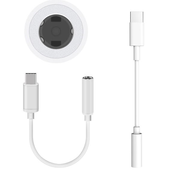 Lightning / USB-C til AUX Adapter 3,5 mm Pakke USBCAUX10Pack