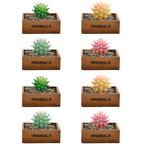 8 stk. kunstige sukkulenter, kaktus, plastikblomster, kreative