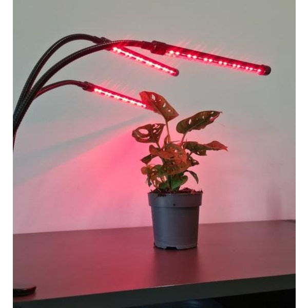 Växtlampa - Växtbelysning med 3 LED-lysrör Black Svart