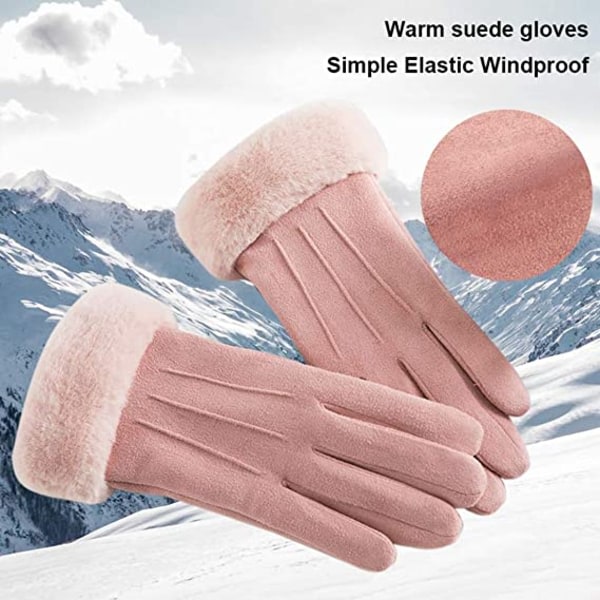 Handskar dam höst och vinter pekskärm pluss sammatsvarma su