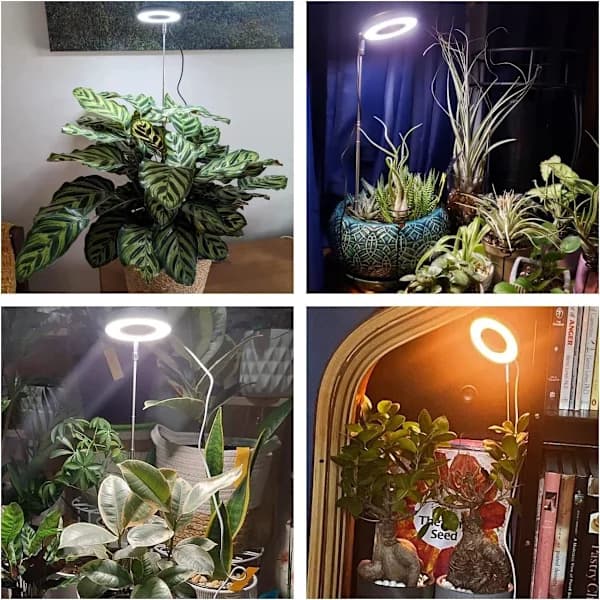 Indendørs plantegrowlys 48 LED fuldspektrum med timer og 10 lysstyrkeniveauer til stueplanter, 3-pak