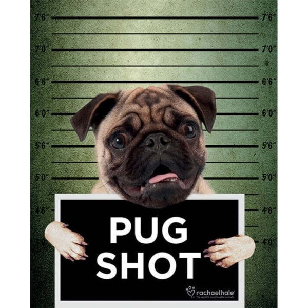 Rachael Hale Pug Shot Banjo Plakat One Size Flerfarget Flerfarget One Size