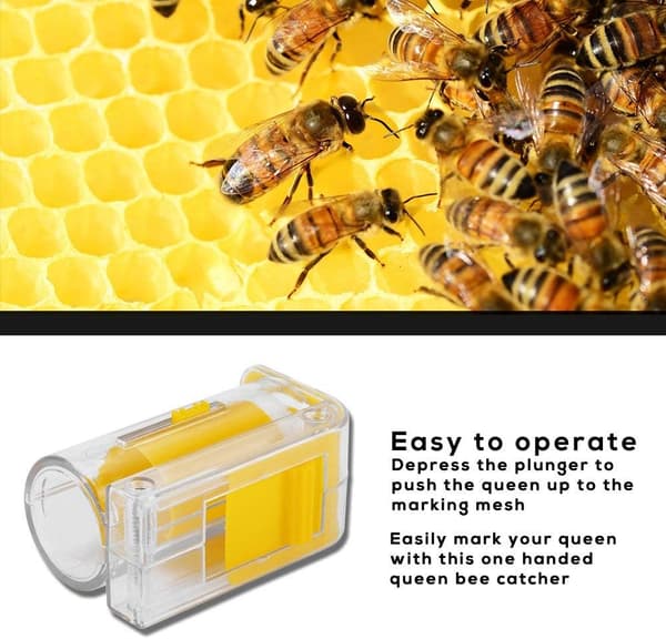 Queen Bee Catcher/Cage - Queen Bee Marking Catcher - Plastic - One-Hand Marker - Plunger Bottle_yux