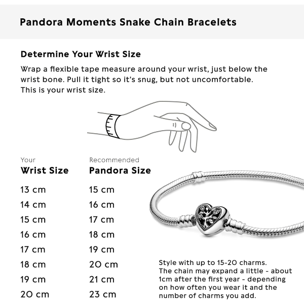 Pandora Unique Elegant Sterling Silver -rannekoru -18Cm 18 cm
