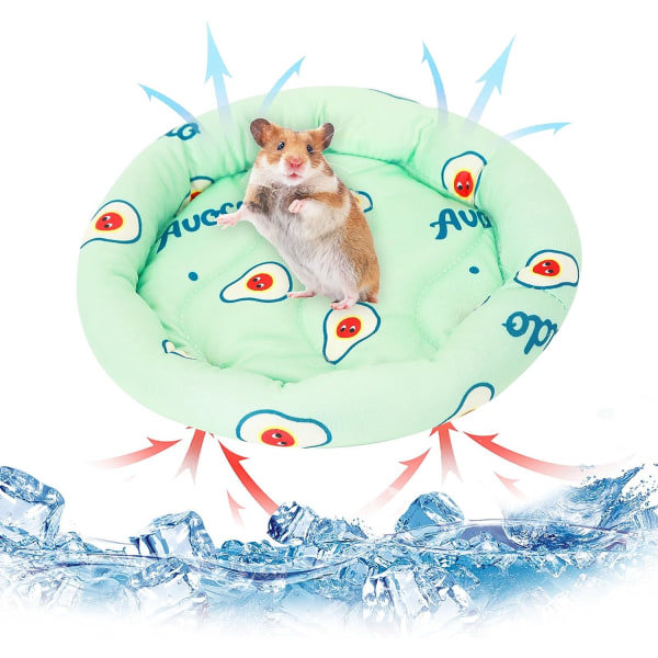 Galaxy Kanin Hamster Kyldyna Summer Ice Silk Sovsäng för Små Husdjur Valp Marsvin (Stil 2) Färg 1