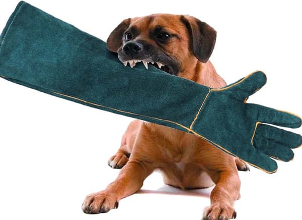 Handskar - Skyddshandskar - Arbetshandske - Säkerhetshandske - Djurhanteringshandskar - Bitsäker - 62cm - Hållbar