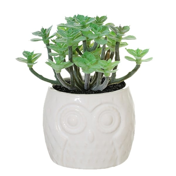 Ny ugle keramisk bas?ng simulering sukkulent bonsai