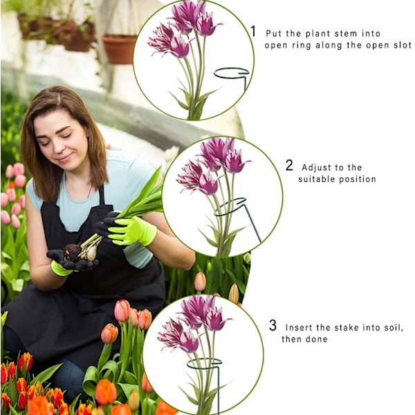 6 kpl Kukka Kasvituki Metalli Yksittäinen Varsi Tuki Puutarhatuki Amaryllis Orkidea Lilja Ruusu Tomaatit Tummanvihreä