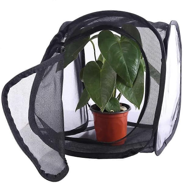 Helt sort insektssikker netboks, foldbart plantedrivhus, lystransmission, observationsrum, insektinkubator, sommerfuglebur