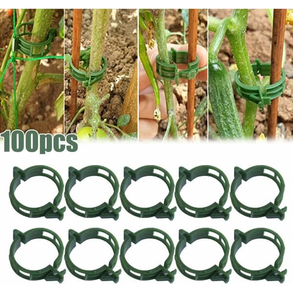 100 st Växtstöd Clips Tomatclips Bindtråd Vinranka Spaljé Burar Klätterväxter Grönsaker 2,5 cm