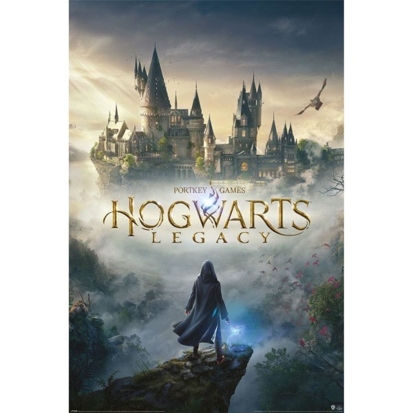 Hogwarts Legacy Wizarding World Universe-affisch 91,5 cm x 61 cm Grå/Brun 91,5 cm x 61 cm