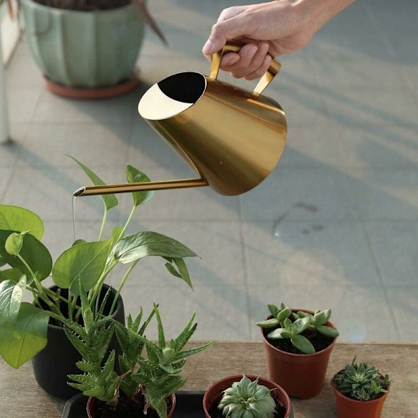 Vattenkanna i rostfritt stål med lång smal pip, trädgårdsredskap för växter och blommor, idealisk för hem, trädgård, balkong, kontor, bonsai, etc. (400 ml, guld)