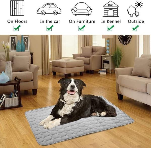 Kølemåtte til hunde og katte, selvkølende, foldbar, maskinvaskbar, til hjemmet, bilen og rejser, grå, XL, 100 x 75 cm