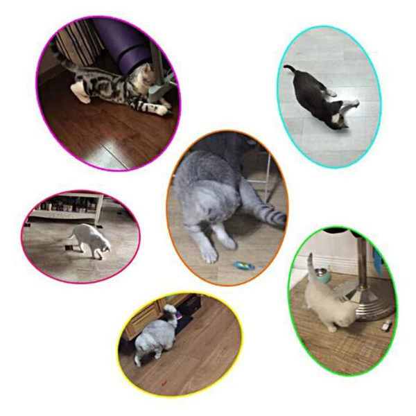 Kattleksak, elektrisk kattleksak Musleksak Husdjur Katt Automatisk leksak Katt Agilityleksak f?r husdjur