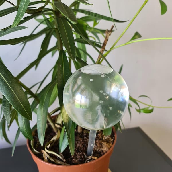 Vanningskuler - Plast - 8 stk Transparent Transparent