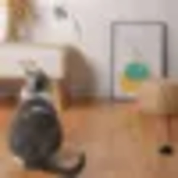 Simuleringsfågel interaktiv kattleksak Rolig fjäderfågel med klocka Stickleksak för kattunge som leker Teaser Wand Toy Cat Supplies