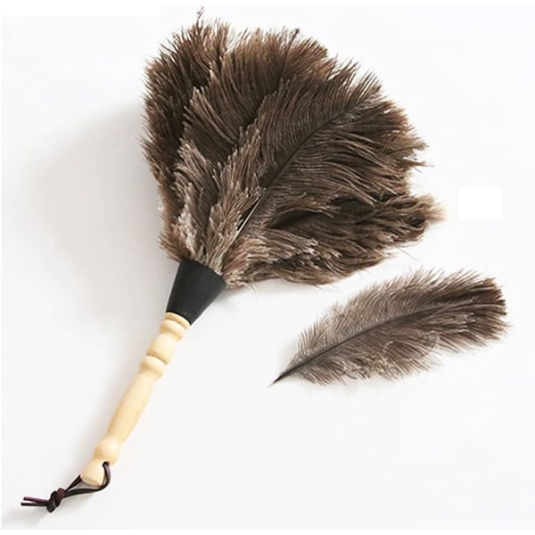TG Feather Duster, hushållsdammborttagningsværktøj med træhandtag, Q