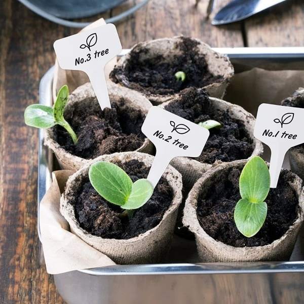 100 kpl 6 x 10 cm Muoviset Kasvien T-muotoiset Tarrat Taimitarha Puutarha Etikettejä