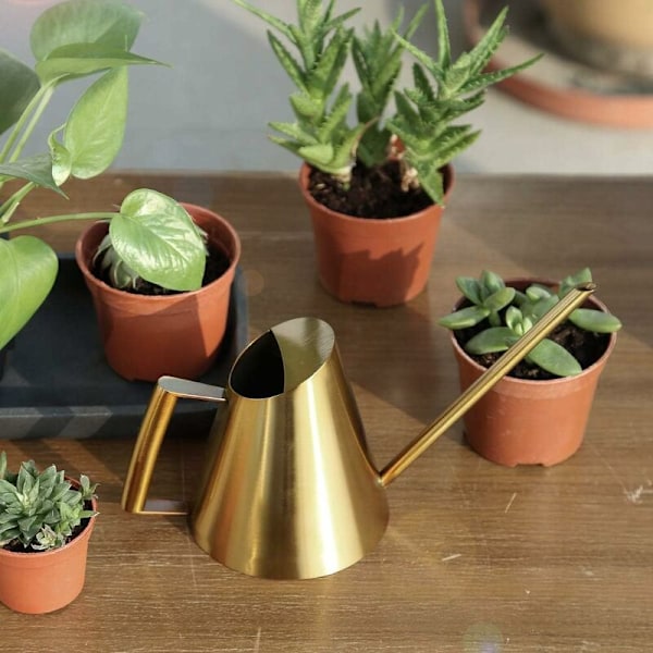 Vattenkanna i rostfritt stål med lång smal pip, trädgårdsredskap för växter och blommor, idealisk för hem, trädgård, balkong, kontor, bonsai, etc. (400 ml, guld)