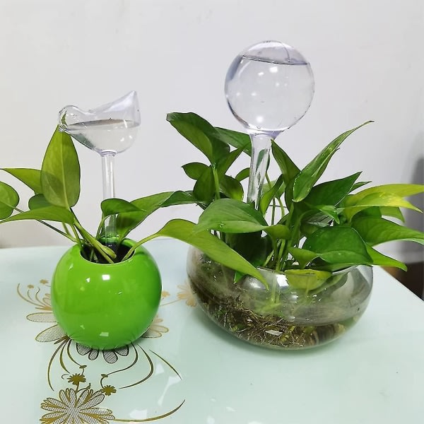 Kasvien kastelupallot - 10:a växtbevattningsanordningar Premium Plant Waterer Self Watering Spikes Wat