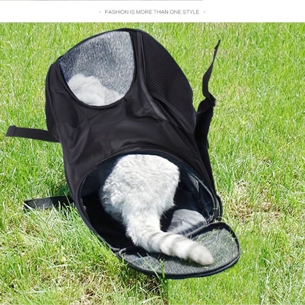 Kæledyrsrygsæk, åndbart net, 180° åbning, sammenklappelig polyester, til små katte og hunde, rejser og gåture, rød