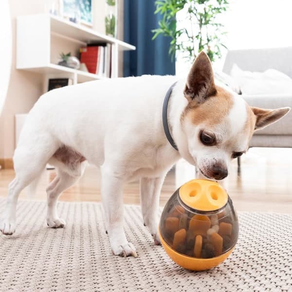 TG Matdispenser / Aktivitetsleke for Hund Oransje