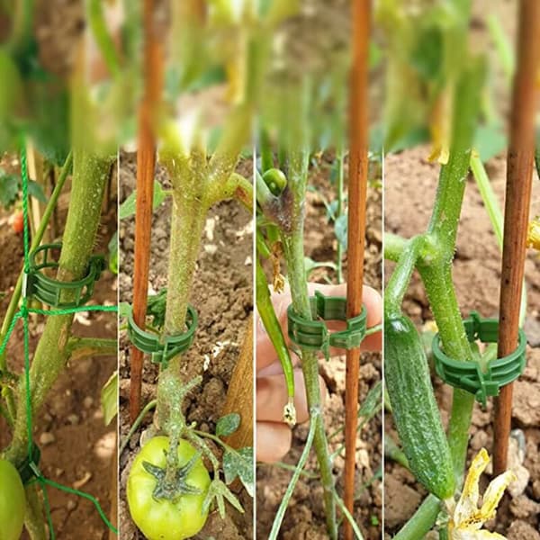 100 st Växtstöd Clips Tomatclips Bindtråd Vinranka Spaljé Burar Klätterväxter Grönsaker 2,5 cm