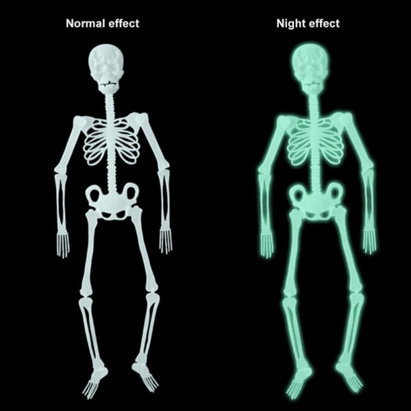 2 kpl Halloween-riipusvalot luurankokoristeet Halloween-ulkotiloihin riippuvaisia koristeita rekvisiittaa