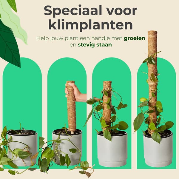 Kokosfiber-mossstång för klätterväxter, 2-pack 40 cm utdragbara växtstöd för inomhusväxter som Monstera och Gullranka
