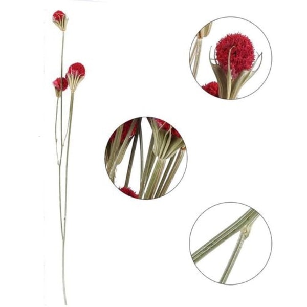 Torkade blommor Röda torkade blommor Dekorativ bukett Bröllopsvas