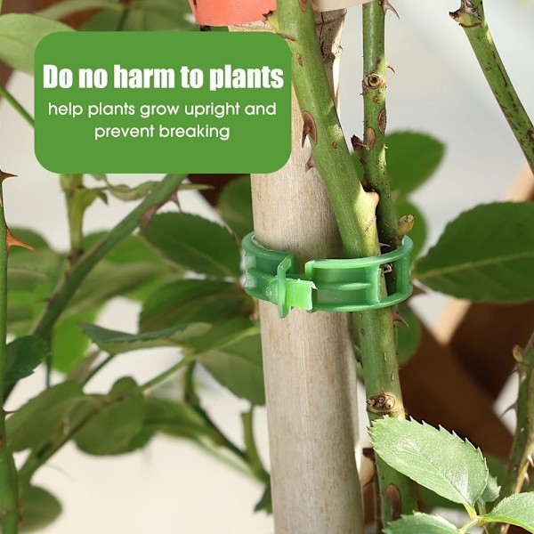 Planteklemmer til plantestøtter/espalier 100-pak Black Svart