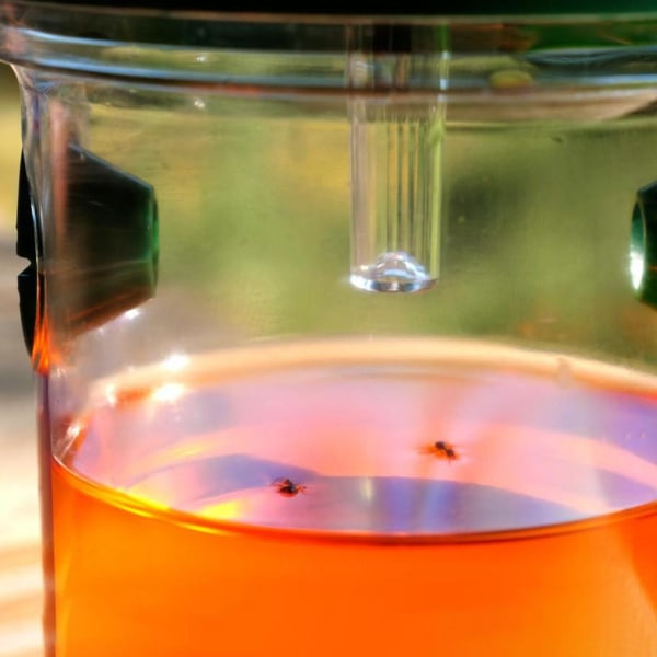 TG Solcellsdriven Insektsfälla Grön