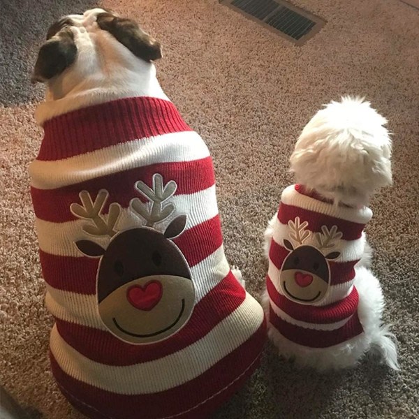 Galaxy Pet Christmas Ren Sweater, Stickat Vinter Warm Puppy Sweaters for små medelstora hundar (Röd, L) rød l