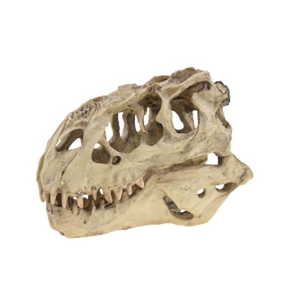 Tyrannosaurus Rex Skull Cave Maisemointi koristelu fisk