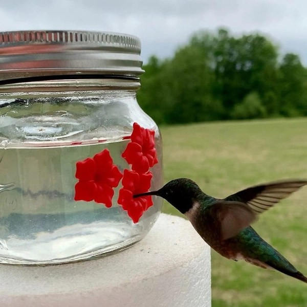 Mason Jar Kolibri Foder med 3 Porte, Lille Fugl Vild Fugl Foder