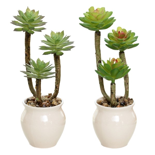 2 stk. Simulerede Sukkulenter Bonsai Kunstige Sukkulenter