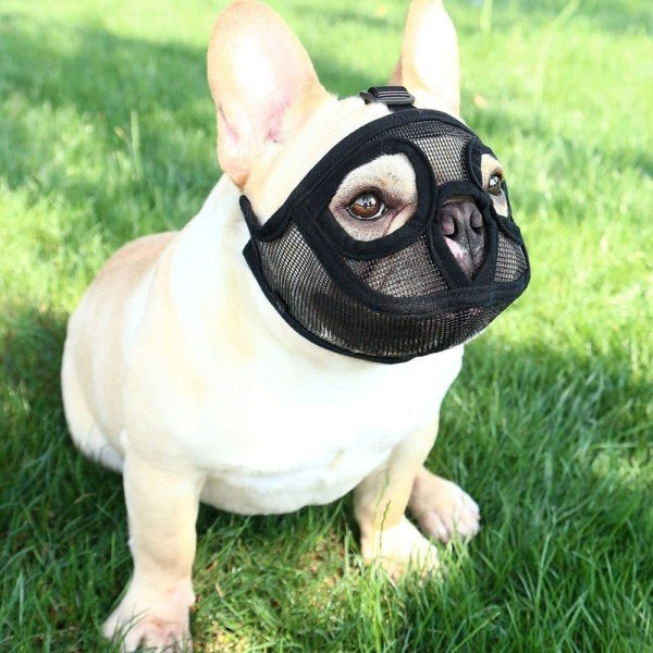 Hund Nos Kort Nos Bulldog Munkorg Anti-Biting Tuggande Barking Dog Mask