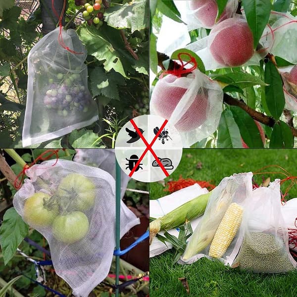 100 stycken - 10x15 cm - Växtskydd - Växtskydd - Fruktskyddsnät - Fruktpåse i nylon - Fruktskydd