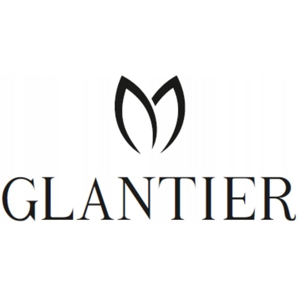 Glantier Antibacterial Hand Gel With Aloe 500Ml