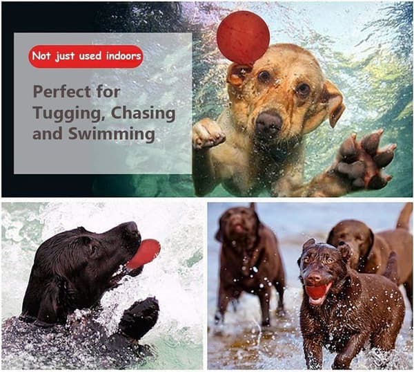 Hundleksaksboll med rep - Gummi - 3 delar - Röd