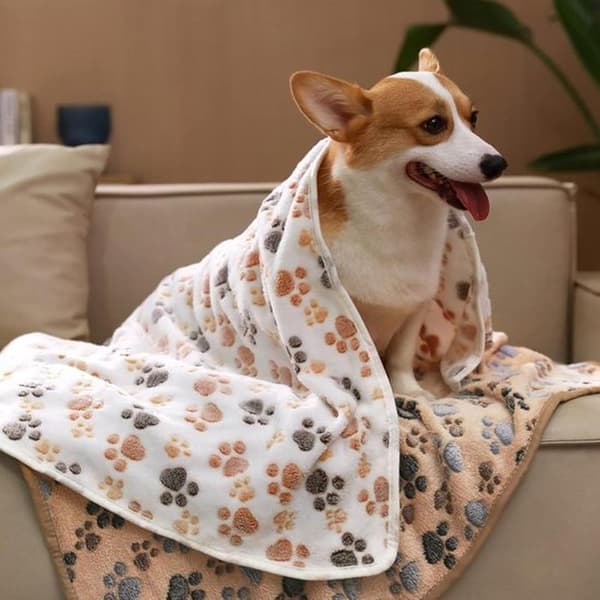 Extra Soft Pet Blankets (3-Pack, 104 x 76 cm) – Double-Sided Plush Sleeping Mats with Paw Prints