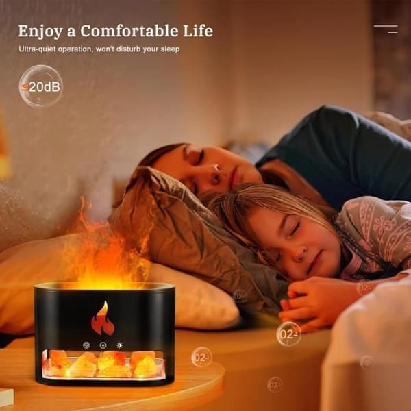 2-i-1 Æterisk Olie Diffuser Himalaya Saltkrystal Lampe Aromaterapi Diffuser med Æterisk Olie Diffuser